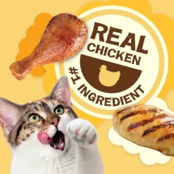 Friskies Party Mix Natural Yums Chicken Recipe Cat Treats