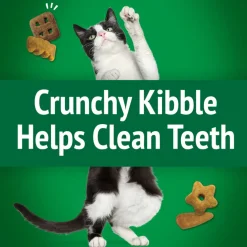 Friskies Party Mix Picnic Crunch Cat Treats (6 oz)
