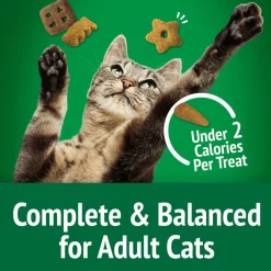 Friskies Party Mix Picnic Crunch Cat Treats (6 oz)