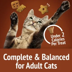 Friskies Party Mix Wild West Crunch Cat Treats (2.1 oz)
