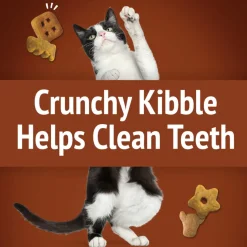 Friskies Party Mix Wild West Crunch Cat Treats (2.1 oz)
