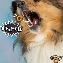 Fromm Crunchy Os Bacon Blasters Flavor Dog Treats