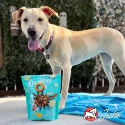 Fromm Crunchy Os Bacon Blasters Flavor Dog Treats