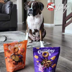 Fromm Crunchy Os Bacon Blasters Flavor Dog Treats
