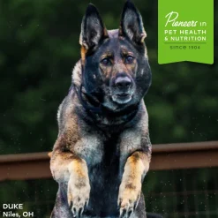 Fromm Nutritionals Functional Dog Treats, 6-oz
