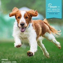 Fromm Nutritionals Functional Dog Treats, 6-oz