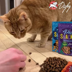 Fromm Purr Snackitty Soft & Savory Cat Treats, 3-oz