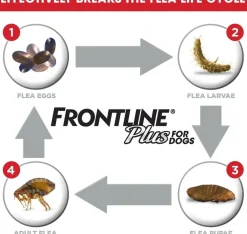 Frontline Plus for Extra Large Dogs (89-132 lbs) Red Box