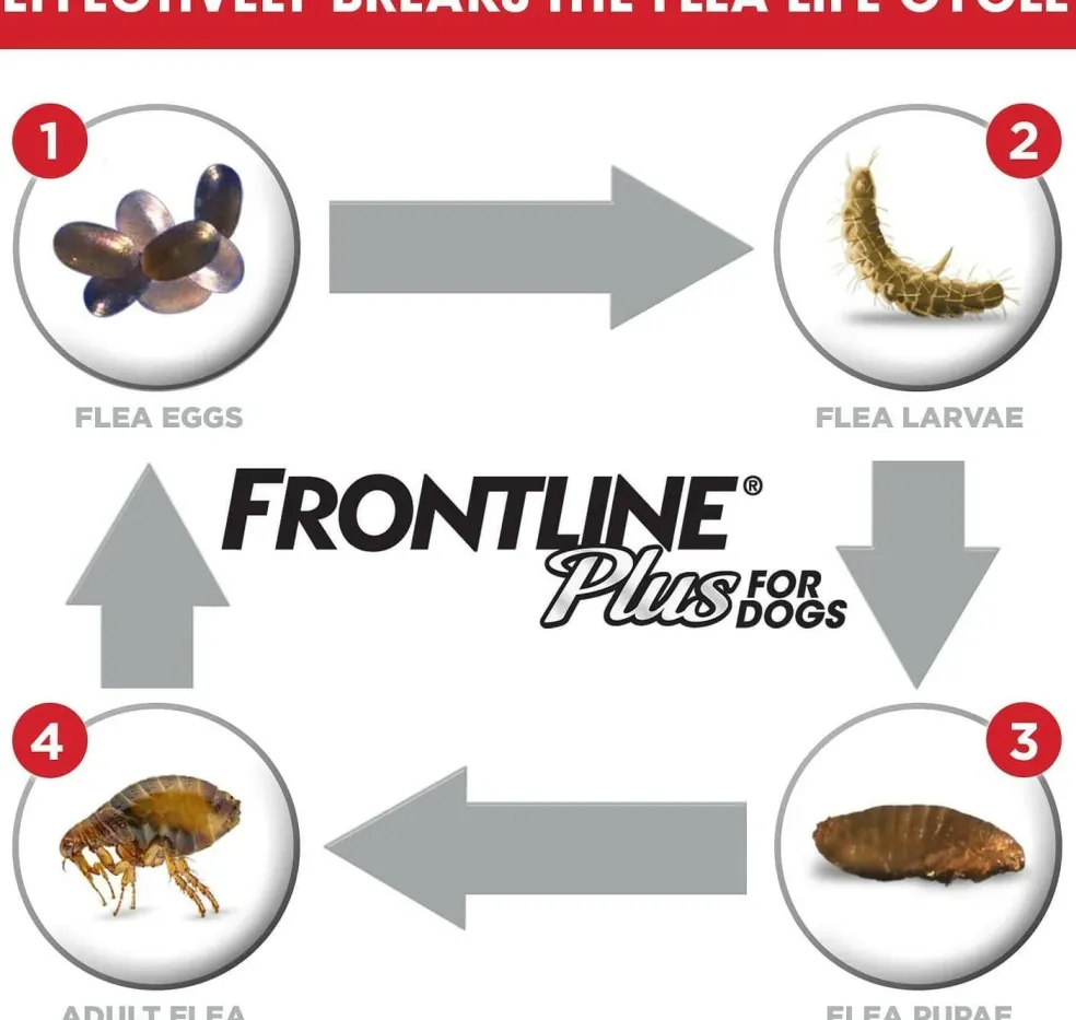 Frontline Plus for Extra Large Dogs (89-132 lbs) Red Box