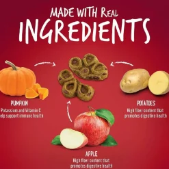 Fruitables BIGGIES Crispy Bacon & Apple Dog Treats (16 oz)