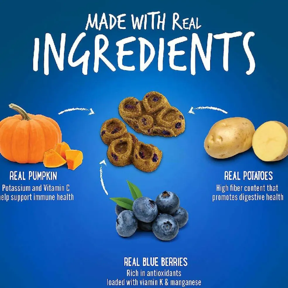Fruitables BIGGIES Pumpkin & Blueberry Dog Treats (16 oz)