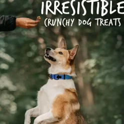 Fruitables BIGGIES Pumpkin & Blueberry Dog Treats (16 oz)