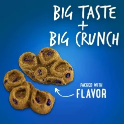 Fruitables BIGGIES Pumpkin & Blueberry Dog Treats (16 oz)