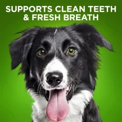Fruitables BioActive Fresh Mouth Dental Chews For Medium Dogs (10 chews)