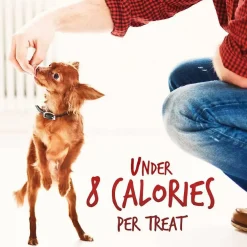 Fruitables Crispy Bacon & Apple Crunchy Dog Treats