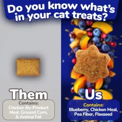 Fruitables Limited Ingredient Chicken with Blueberry Crunchy Treats For Cats