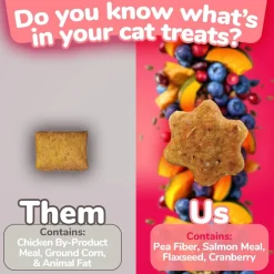 Fruitables Limited Ingredient Salmon with Cranberry Crunchy Treats For Cats
