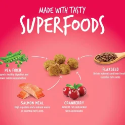 Fruitables Limited Ingredient Salmon with Cranberry Crunchy Treats For Cats