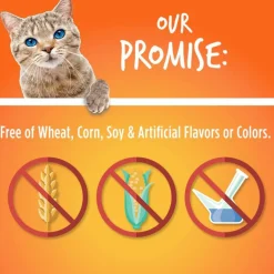 Fruitables Limited Ingredient Tuna with Pumpkin Crunchy Treats For Cats