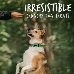Fruitables Pumpkin & Apple Flavor Baked Dog Treats (7 oz)