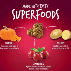 Fruitables Pumpkin & Cranberry Crunchy Dog Treats (7 oz)