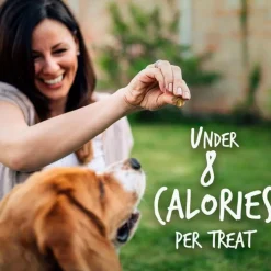 Fruitables Pumpkin & Cranberry Crunchy Dog Treats (7 oz)