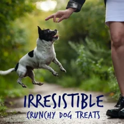 Fruitables Skinny Minis Pumpkin & Berry Flavor Dog Treats