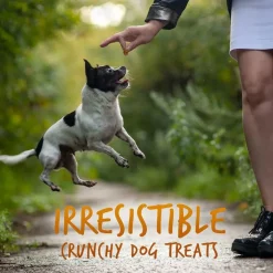 Fruitables Skinny Minis Pumpkin & Mango Flavor Dog Treats (5 oz)