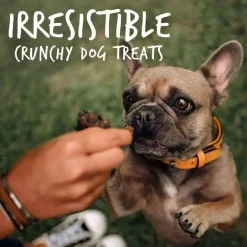 Fruitables Skinny Minis Rotisserie Chicken Flavor Chewy Dog Treats (5 oz)