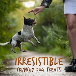 Fruitables Sweet Potato & Pecan Flavor Baked Dog Treats (7 oz)