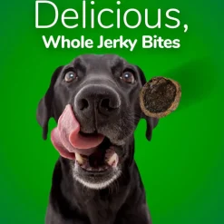 Fruitables Whole Jerky Bites Bacon & Apple Treats For Dogs (5 oz)