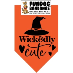 FunDog Bandanas Halloween for Dogs & Cats, Color Varies