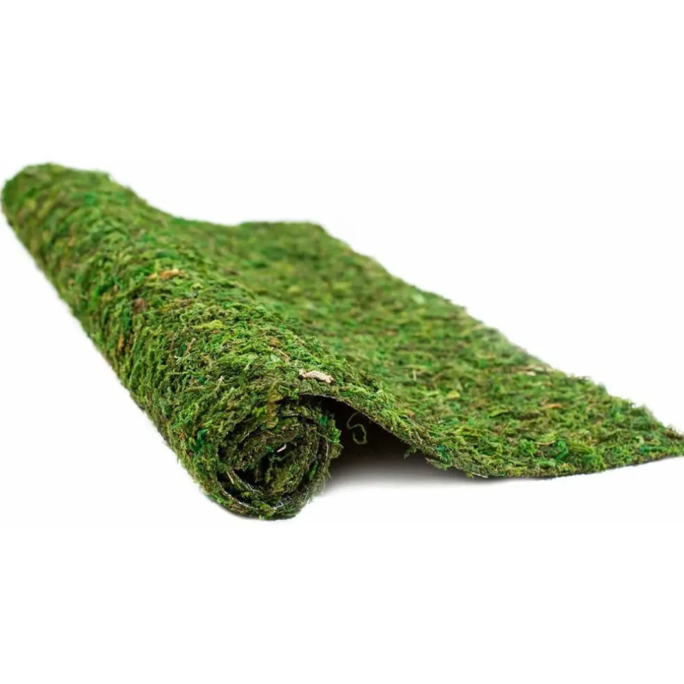Galapagos CrashPad Mossy Terrarium Bedding Liner (18"x36")