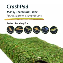 Galapagos CrashPad Mossy Terrarium Bedding Liner (18