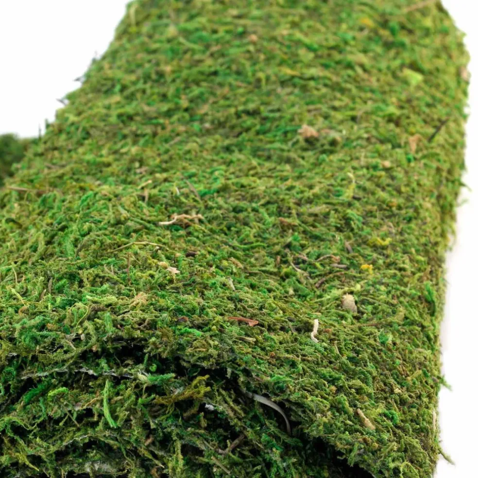 Galapagos CrashPad Mossy Terrarium Bedding Liner (18"x36")