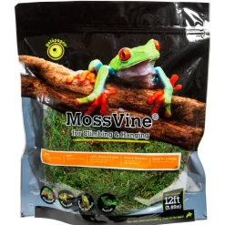 Galapagos MossVine for Hanging & Climbing (12 ft)