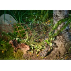 Galapagos MossVine for Hanging & Climbing (12 ft)