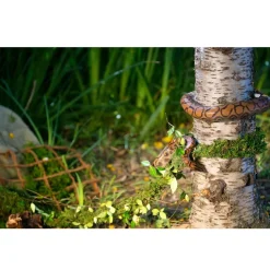 Galapagos MossVine for Hanging & Climbing (12 ft)