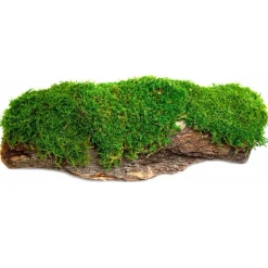 Galapagos Mossy Bark Terrarium for Retpiles & Amphibians Basking (1 piece)