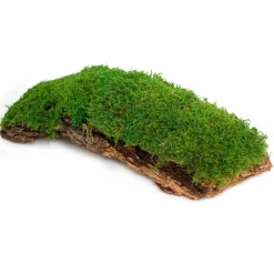Galapagos Mossy Bark Terrarium for Retpiles & Amphibians Basking (1 piece)