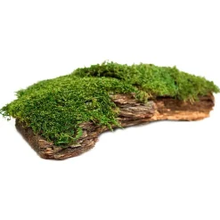 Galapagos Mossy Bark Terrarium for Retpiles & Amphibians Basking (1 piece)