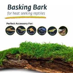 Galapagos Mossy Bark Terrarium for Retpiles & Amphibians Basking (1 piece)