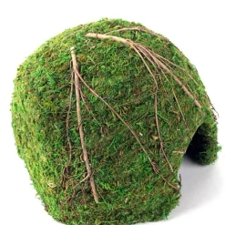 Galapagos Mossy Dome Terrarium Hideaway For Reptiles & Amphibians