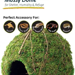 Galapagos Mossy Dome Terrarium Hideaway For Reptiles & Amphibians