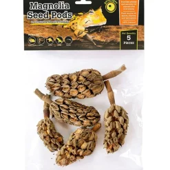 Galapagos Natural Magnolia Seed Pods (5 pieces)