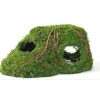 Galapagos Sapa Corner Hide Terrarium Hideaway (10 in)