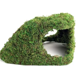 Galapagos Sapa Corner Hide Terrarium Hideaway (10 in)