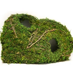 Galapagos Sapa Corner Hide Terrarium Hideaway (10 in)
