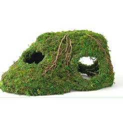 Galapagos Sapa Corner Hide Terrarium Hideaway (10 in)