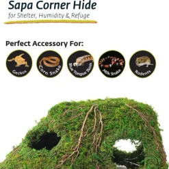 Galapagos Sapa Corner Hide Terrarium Hideaway (10 in)